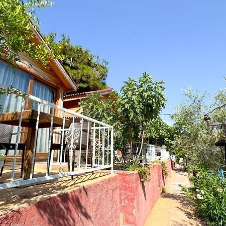 Gaia Bungalow Bed and Breakfast Ayvalı Esterno foto