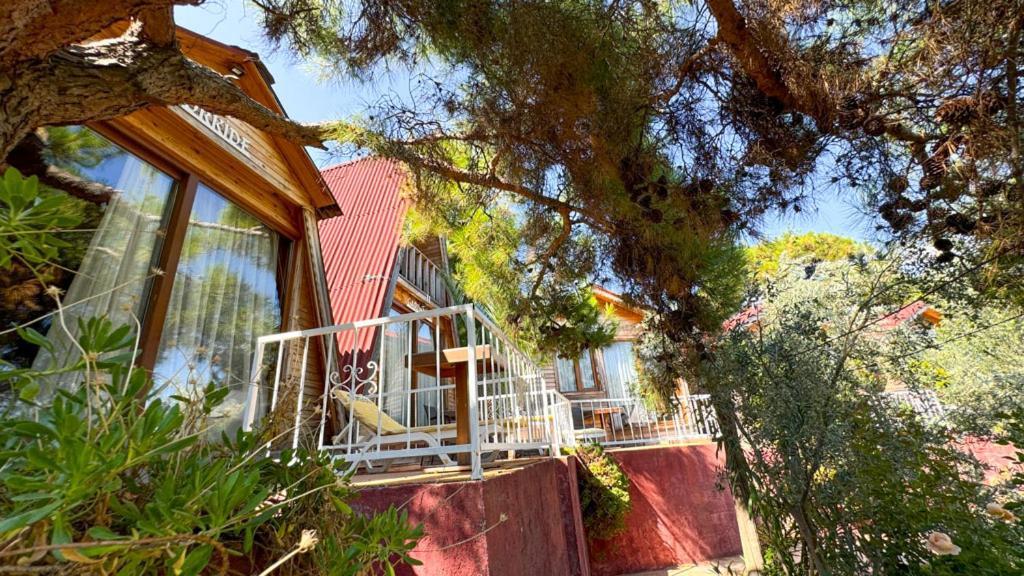 Gaia Bungalow Bed and Breakfast Ayvalı Esterno foto